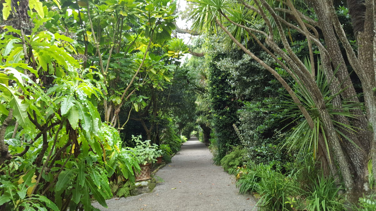 Gärten von Tresco Abbey