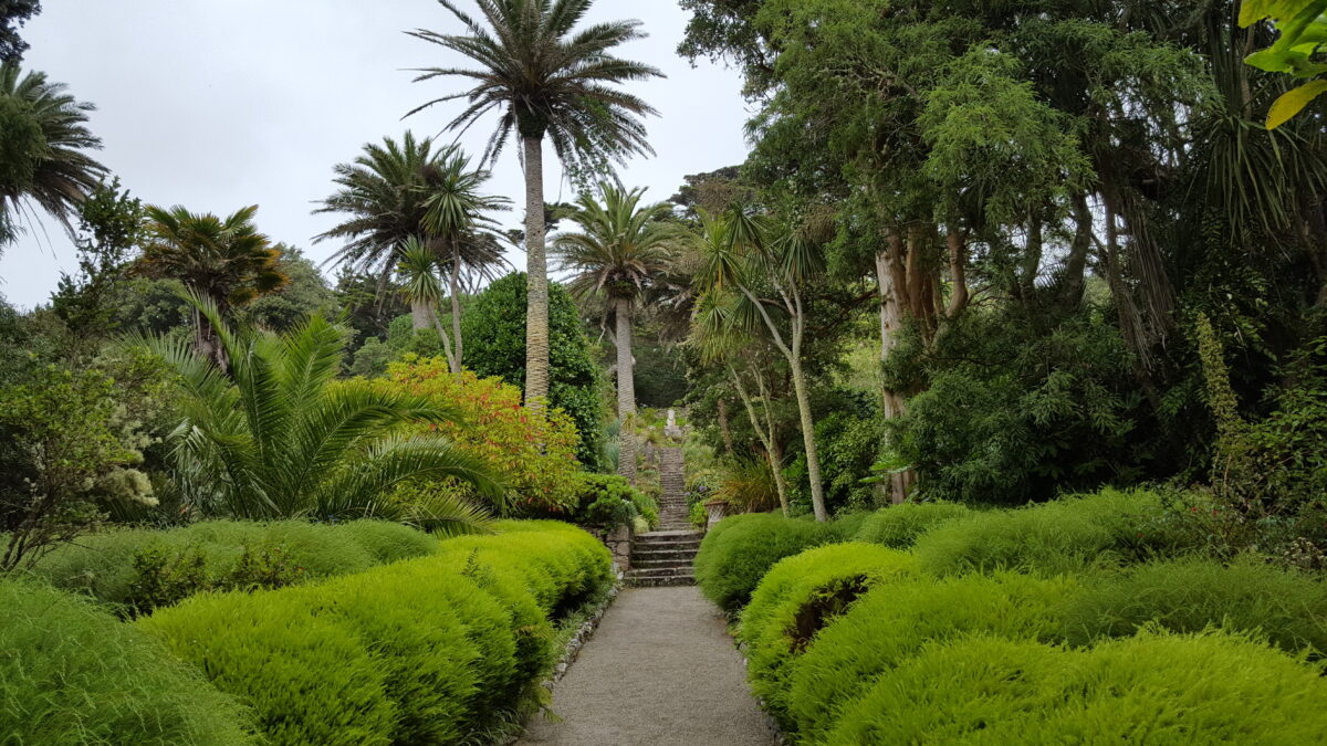 Bummel durch die Gärten von Tresco Abbey