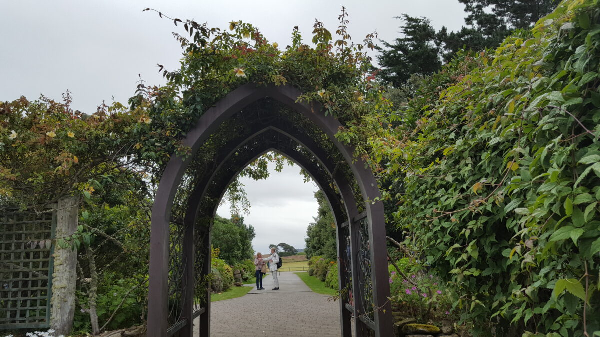 Bummeln durch die Gärten von Tresco Abbey
