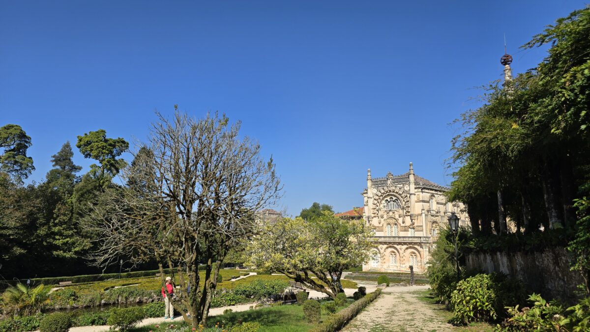 unglaubliche Baumvielfalten