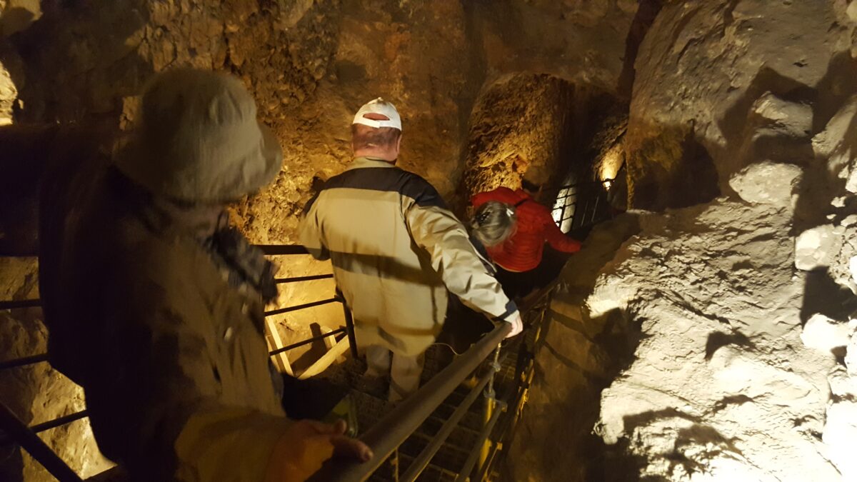 verzweigtes Zisternensystem